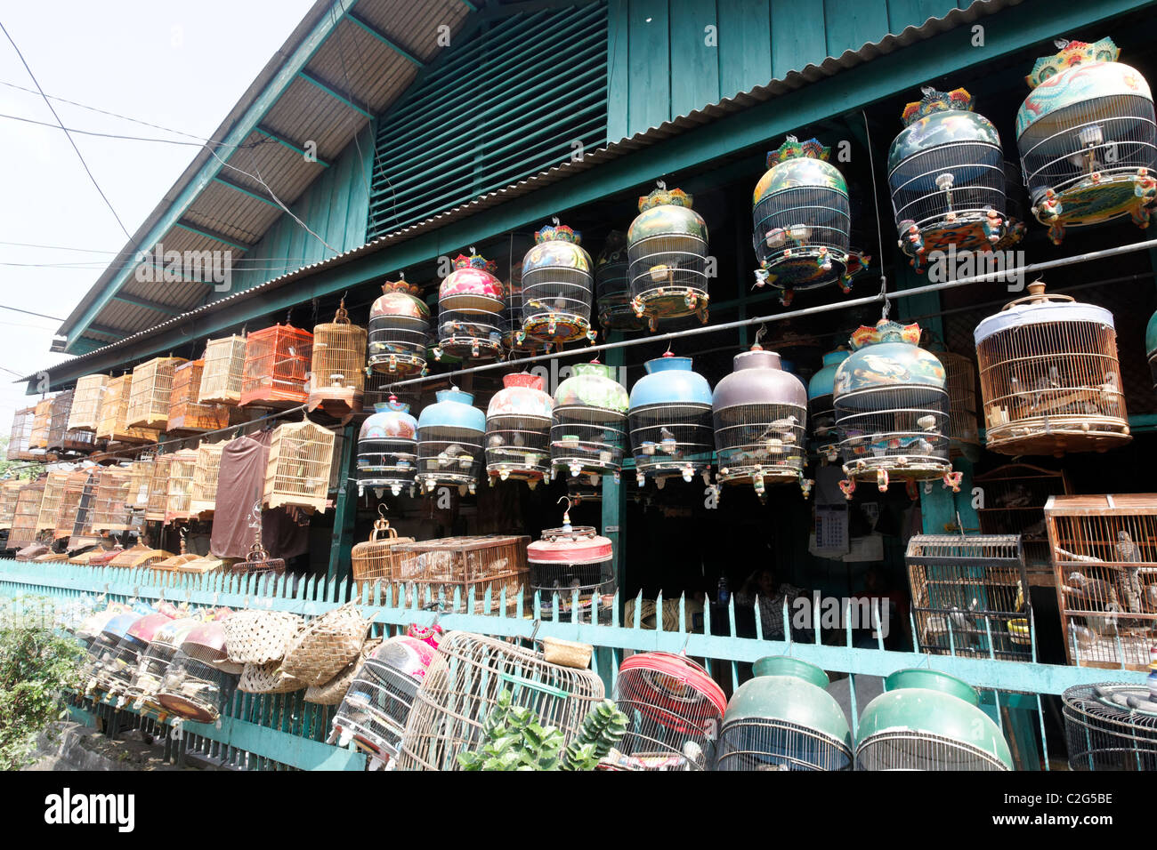 Pramuka bird market, Jakarta, Indonesia, March 2011 Stock Photo Alamy