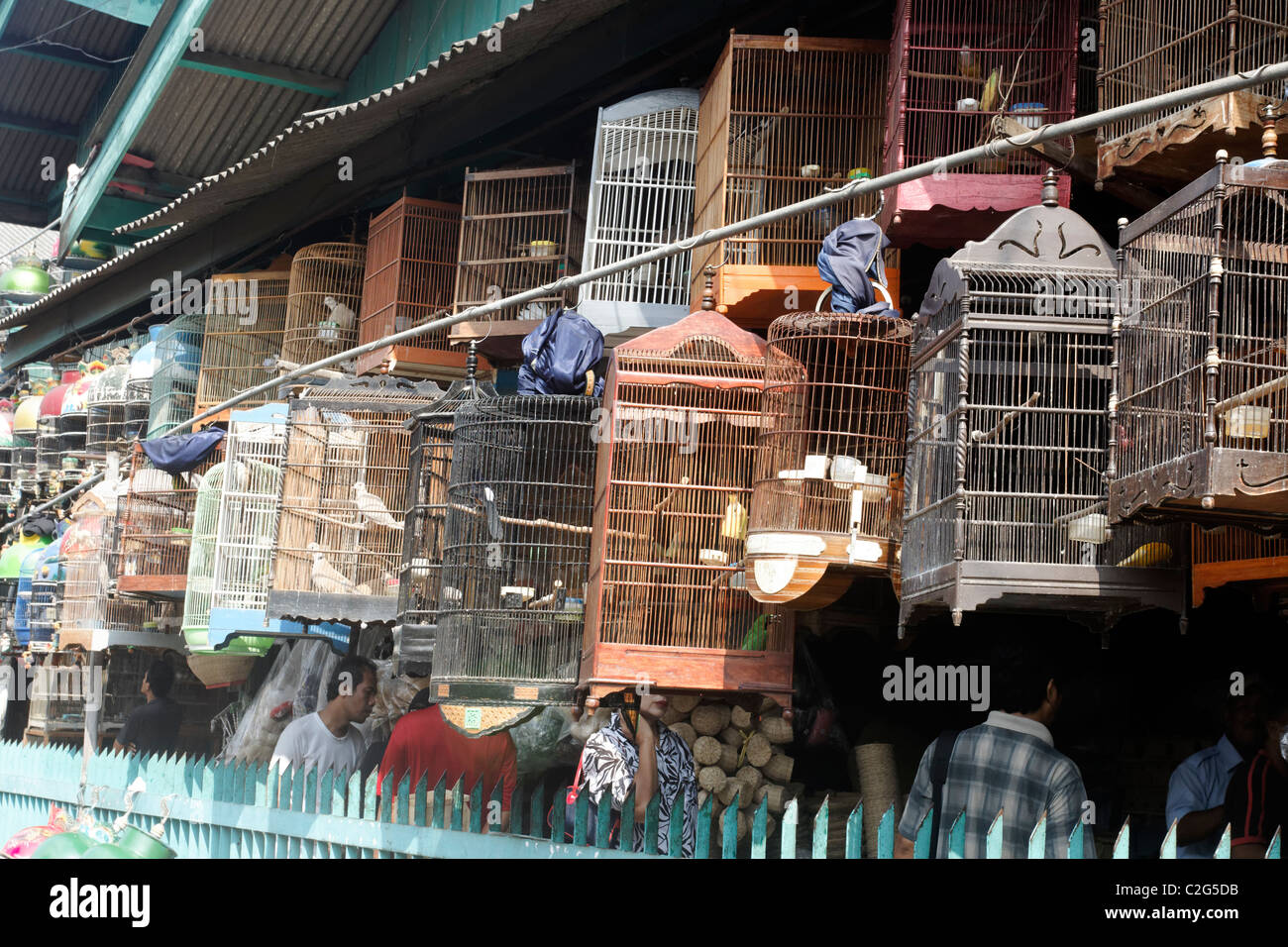 Pramuka bird market, Jakarta, Indonesia, March 2011 Stock Photo Alamy