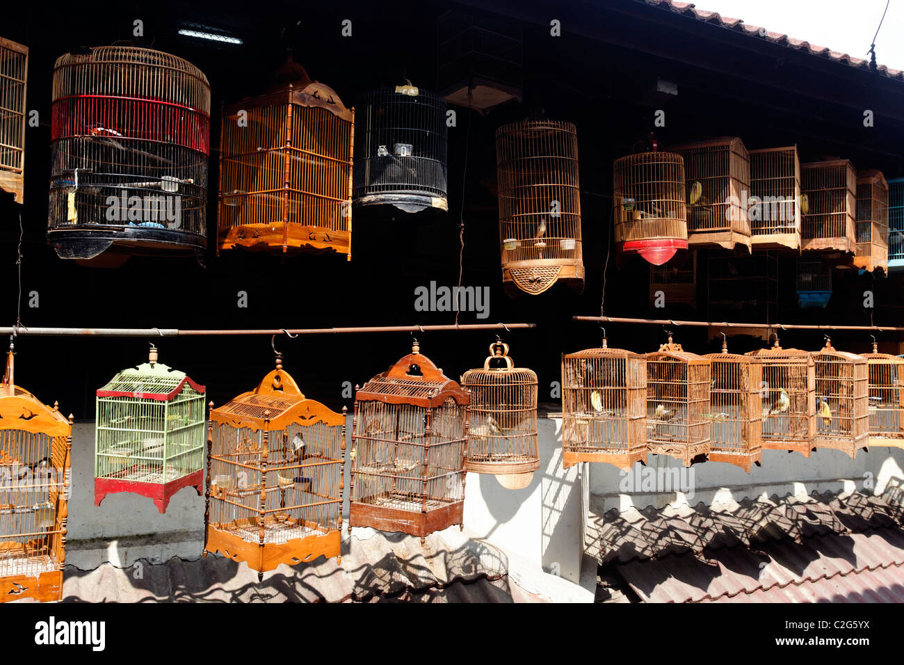 Pramuka bird market, Jakarta, Indonesia, March 2011 Stock Photo Alamy