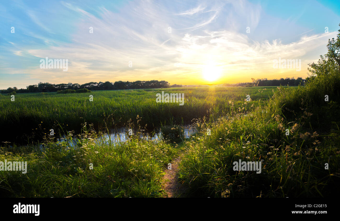 Field of grass with river and perfect sunset. Spring landscape Stock Photo