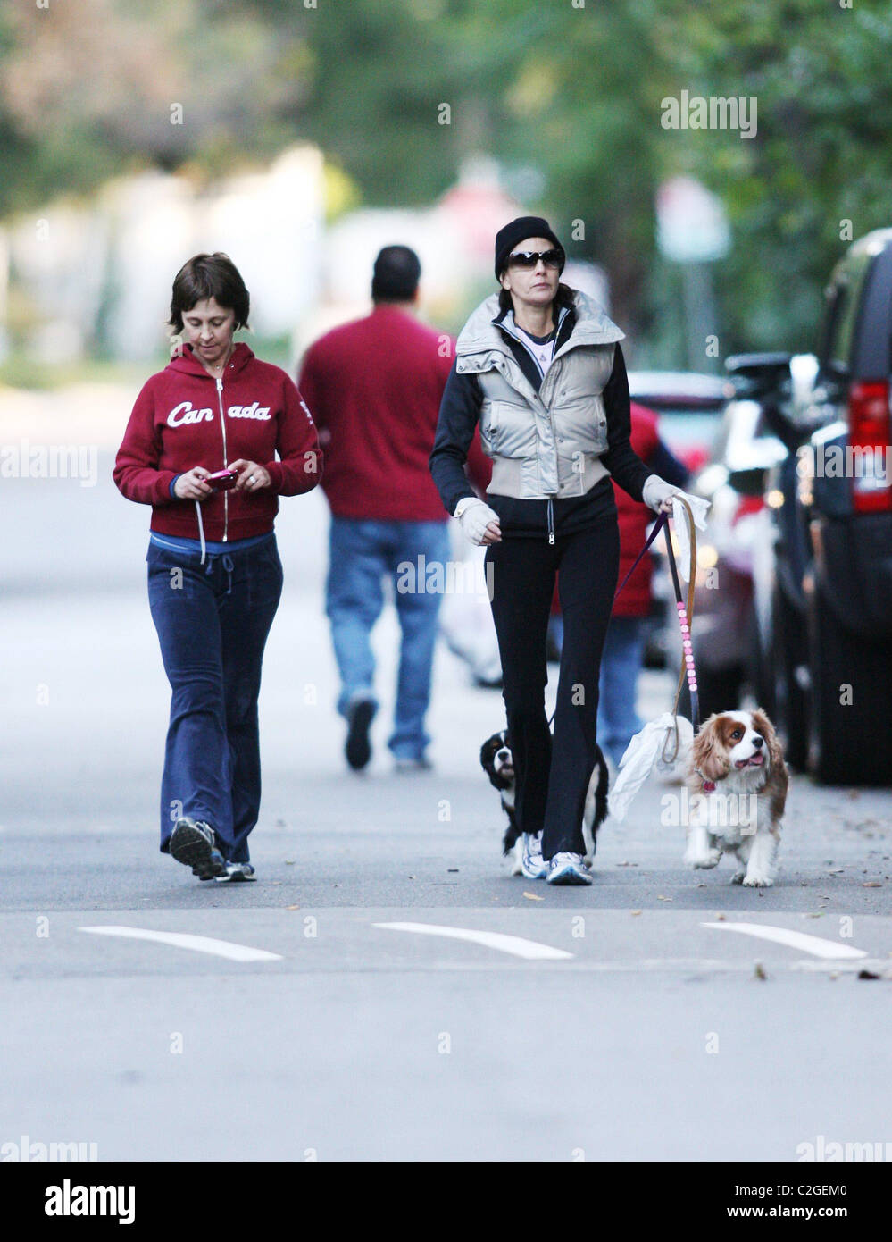 Teri Hatcher walking her dogs Los Angeles, California - 09.12.07 Stock