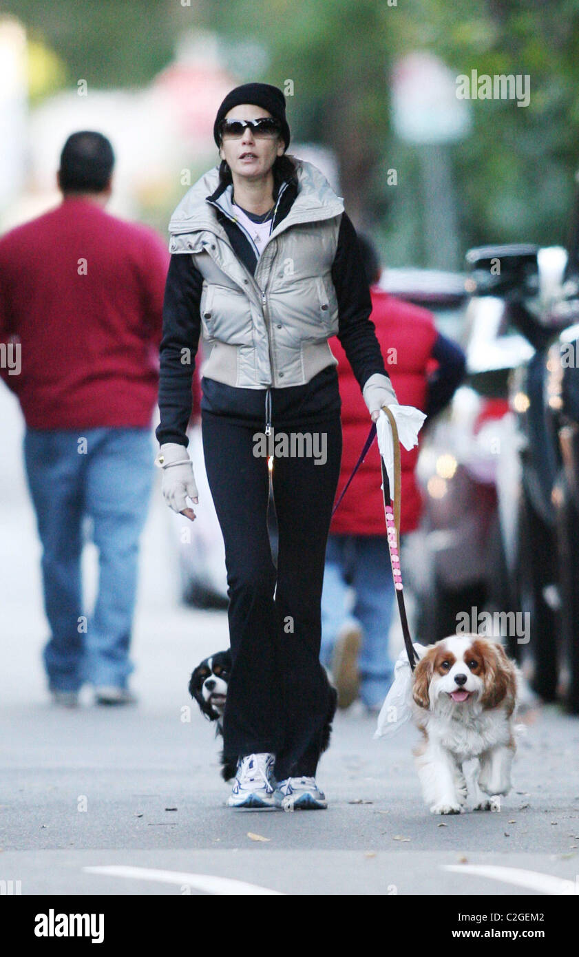 Teri Hatcher walking her dogs Los Angeles, California - 09.12.07 Stock