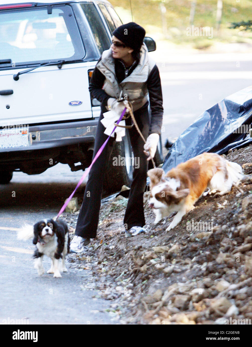 Teri Hatcher walking her dogs Los Angeles, California - 09.12.07 Stock