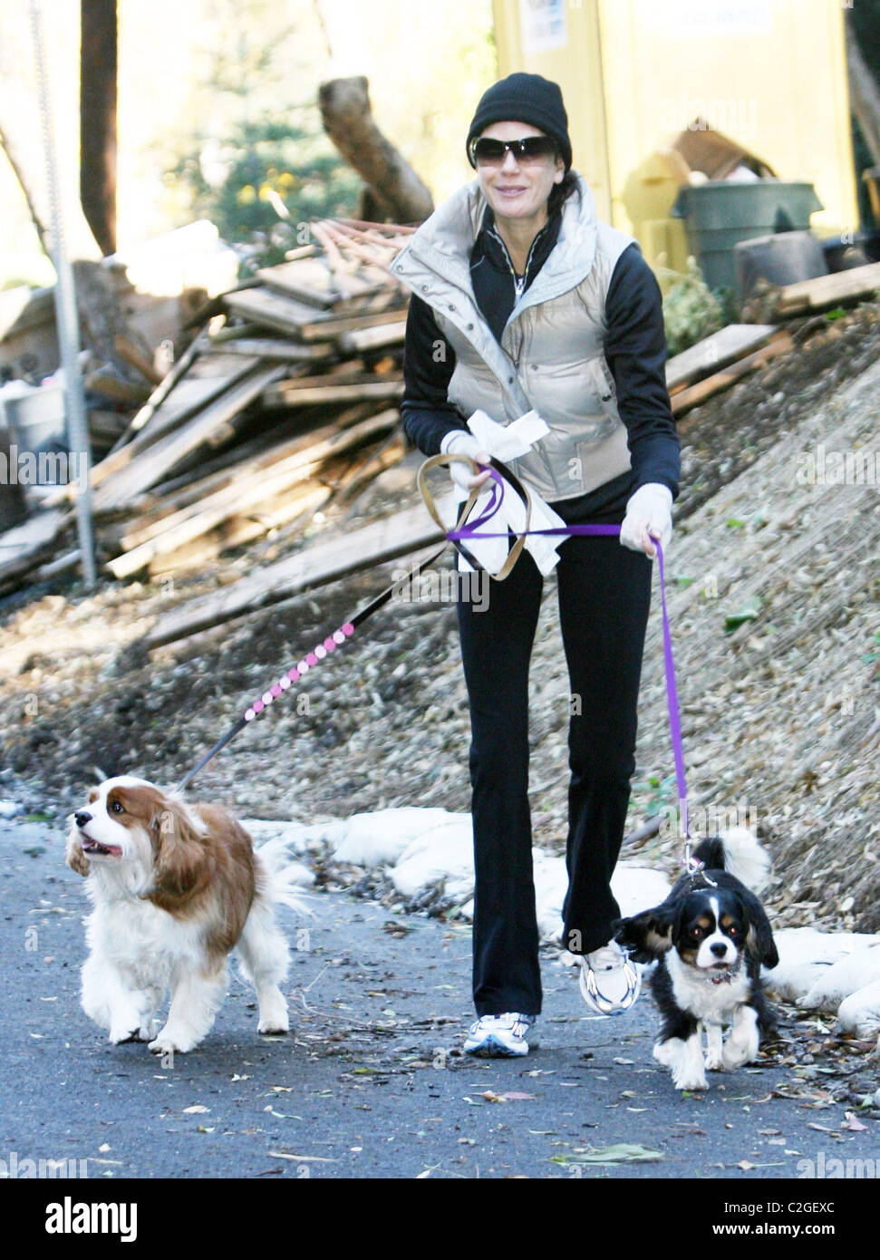 Teri Hatcher walking her dogs Los Angeles, California - 09.12.07 Stock