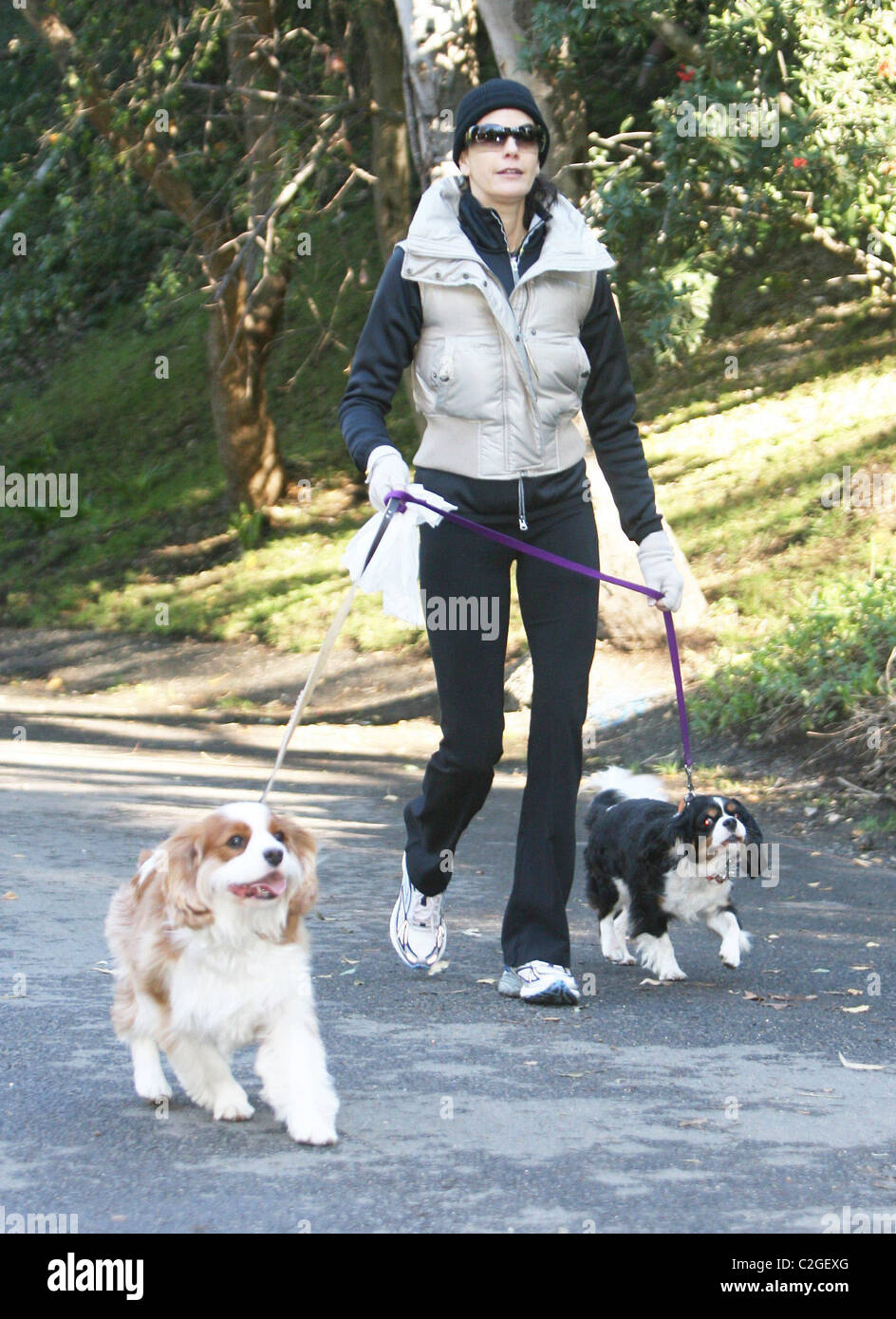 Teri Hatcher walking her dogs Los Angeles, California - 09.12.07 Stock