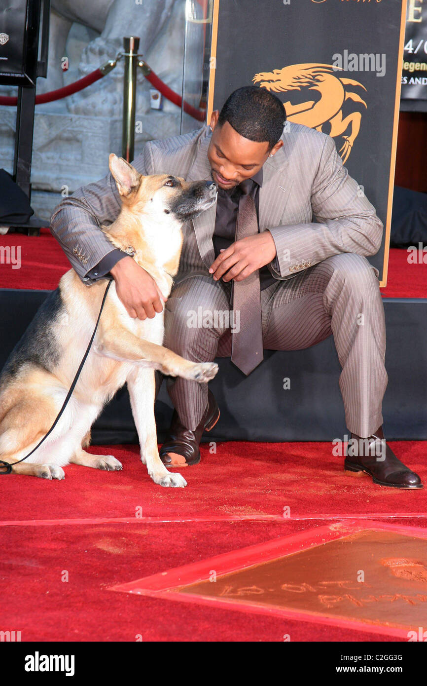 Will Smith, with the dog who co-starred in 'I Am Legend' Will Smith  Handprint and Footprint Ceremony at Grauman's Chinese Stock Photo - Alamy
