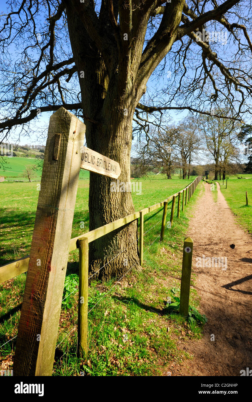 North Downs near Newlands Corner Surrey Stock Photo