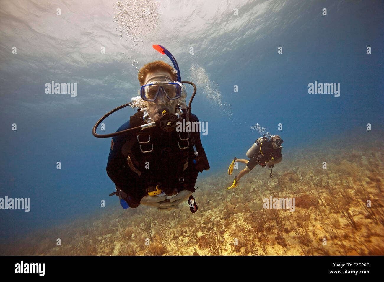 Two scuba divers diving near English Harbour, Antigua. Stock Photo