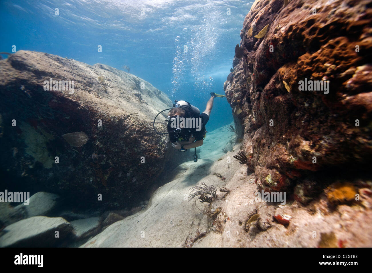 A scuba diver diving near the 'Pillars of Hercules' outside English Harbour, Antigua Stock Photo