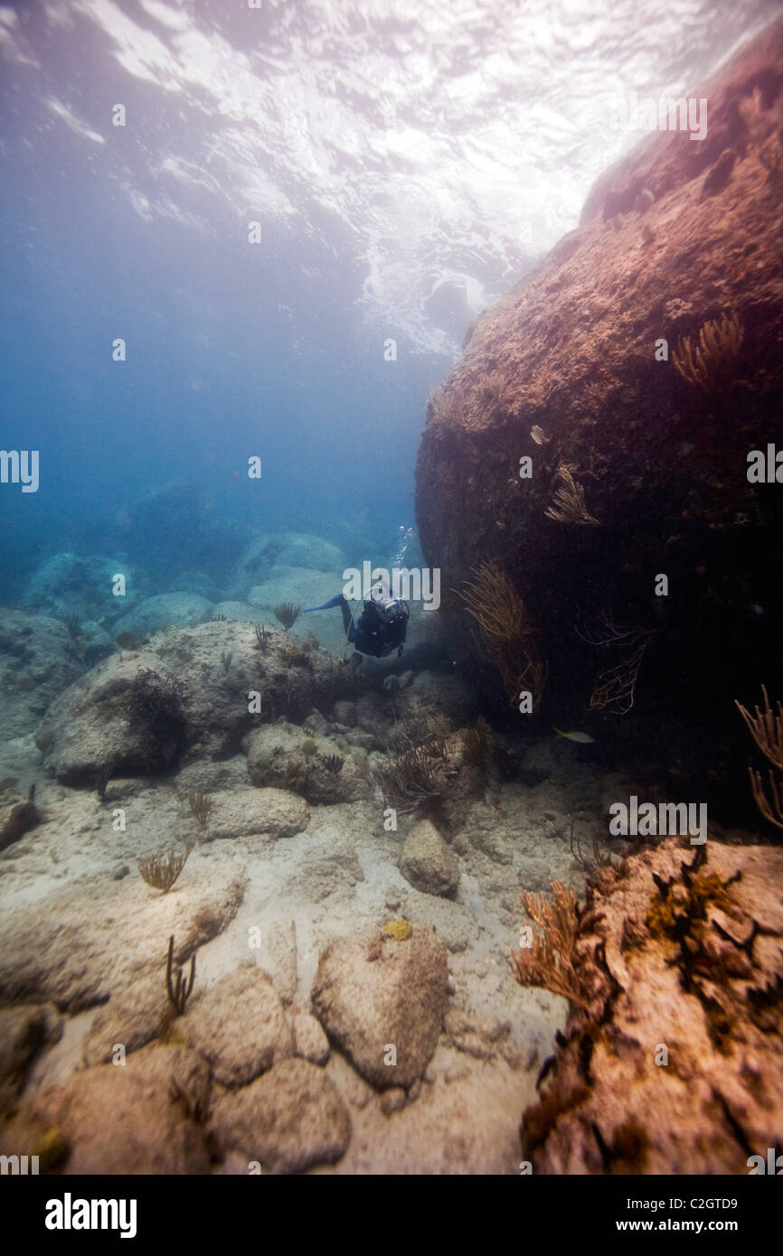 A scuba diver diving near the 'Pillars of Hercules', English Harbour, Antigua Stock Photo Alamy