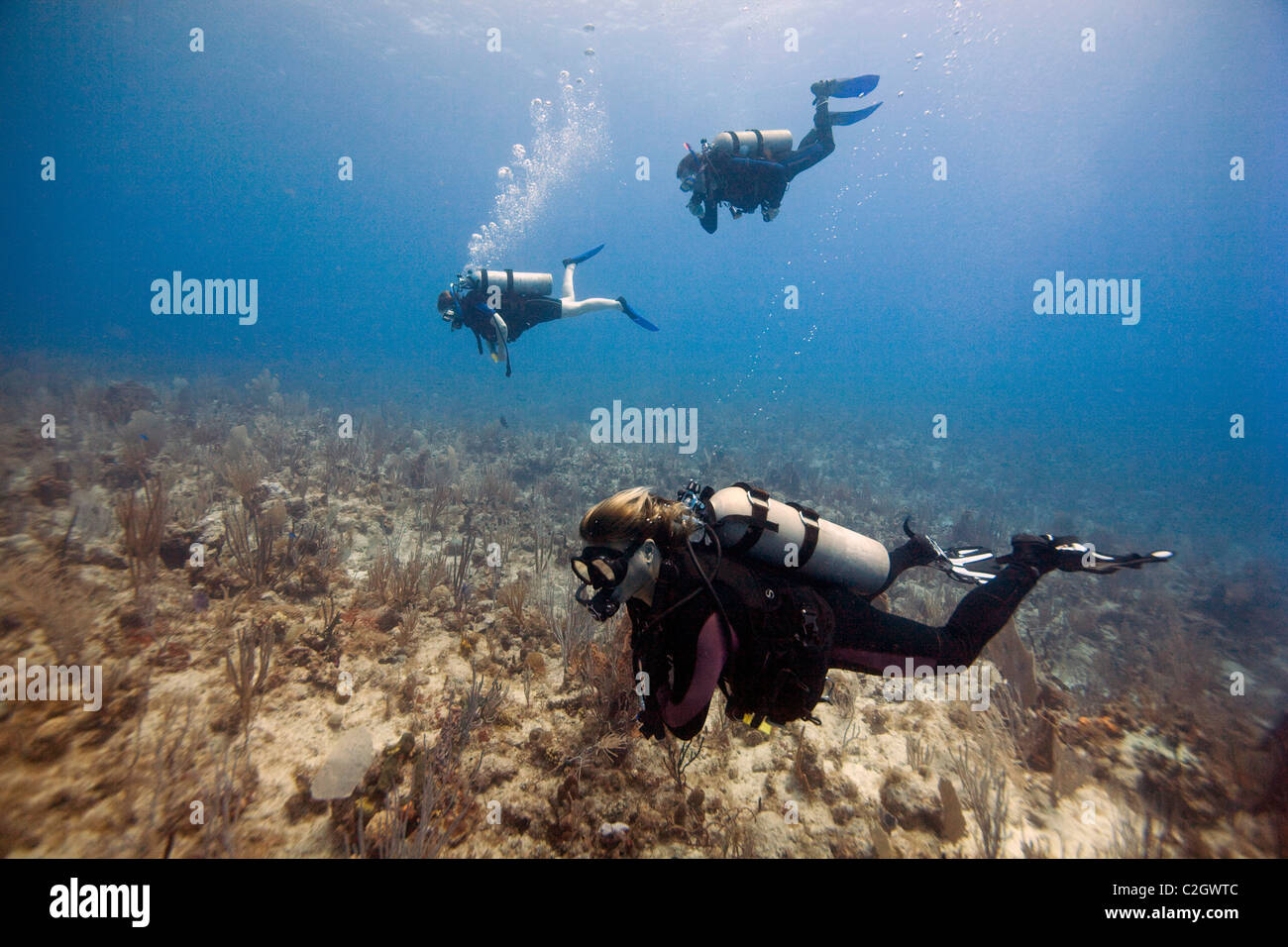 Three scuba divers diving near English Harbour, Antigua. Stock Photo