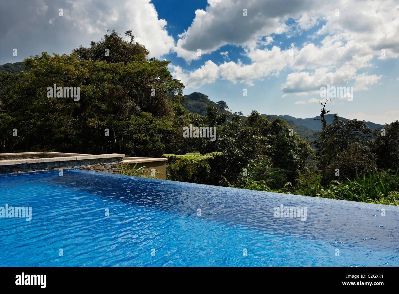 swimming pool in five star luxury Nyungwe Forest Lodge, Parc National de Nyungwe, Rwanda, Africa Stock Photo