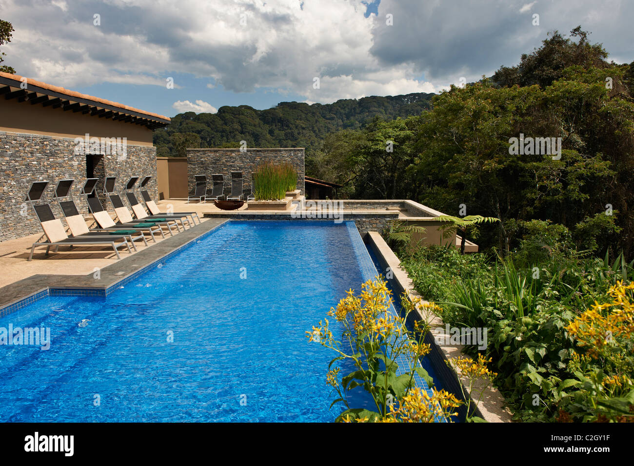 swimming pool in five star luxury Nyungwe Forest Lodge, Parc National de Nyungwe, Rwanda, Africa Stock Photo