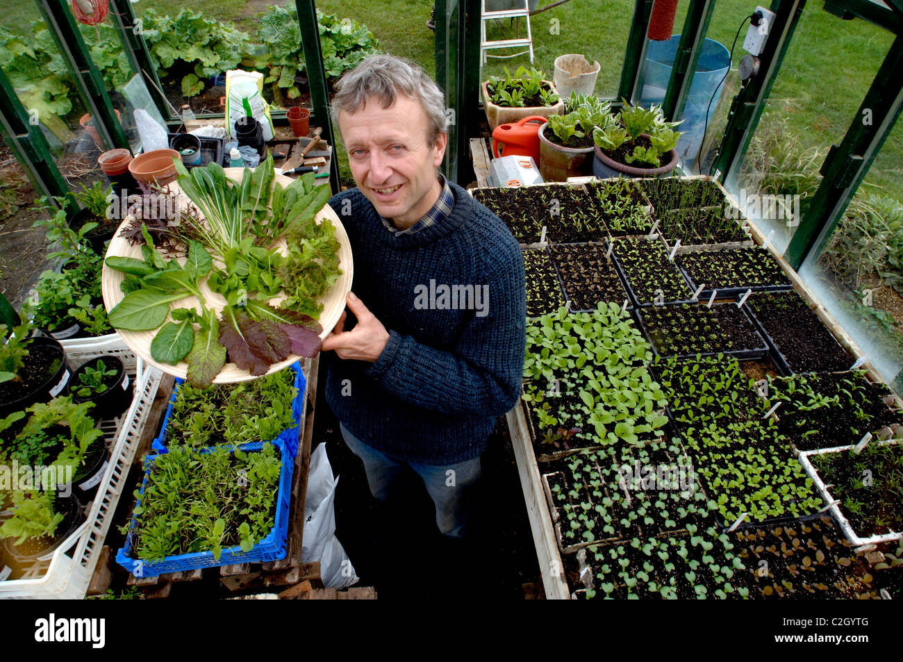 Charles Dowding, organic garden salad leaf grower at his home near Shepton Montague, Somerset Stock Photo