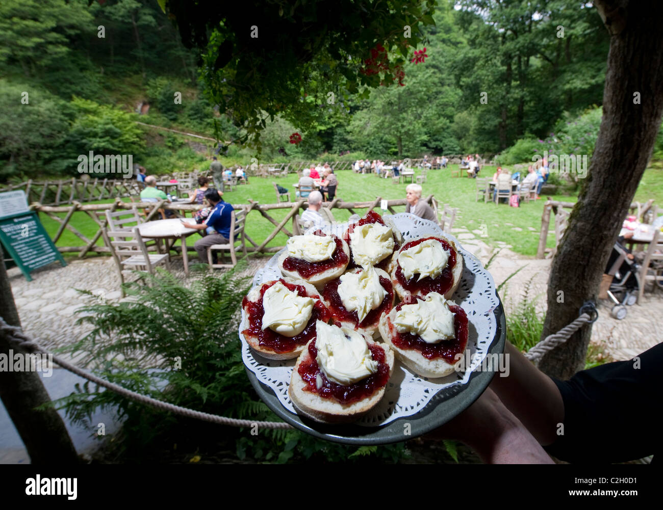 Tradition english cream tea served at Watersmeet National Trust
