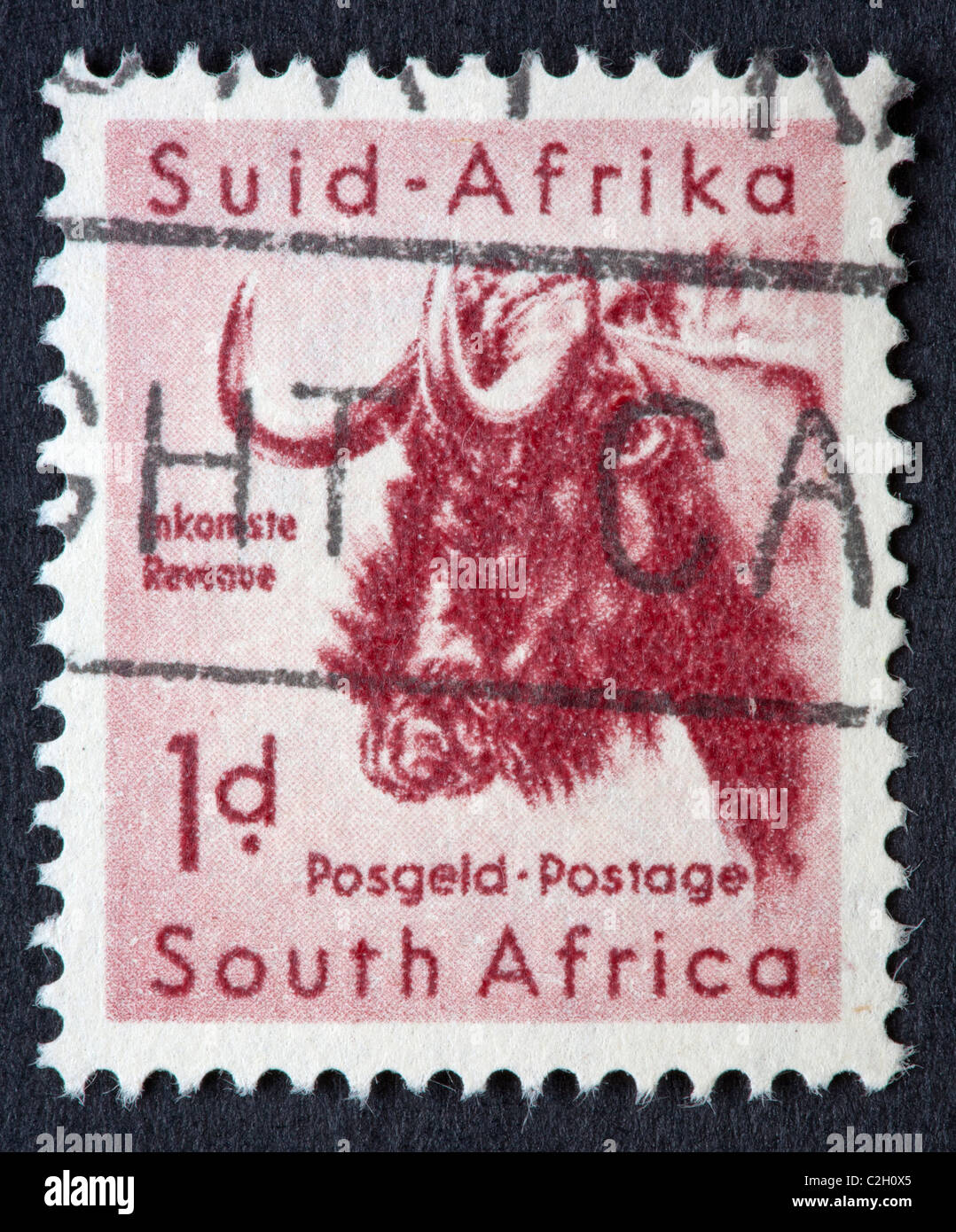 South African postage stamp Stock Photo