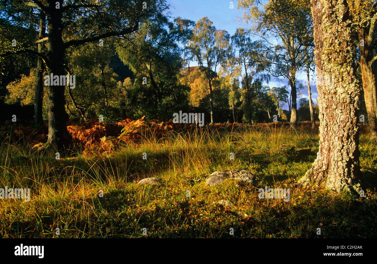 Glen Lyon Perthshire Scotland Stock Photo Alamy
