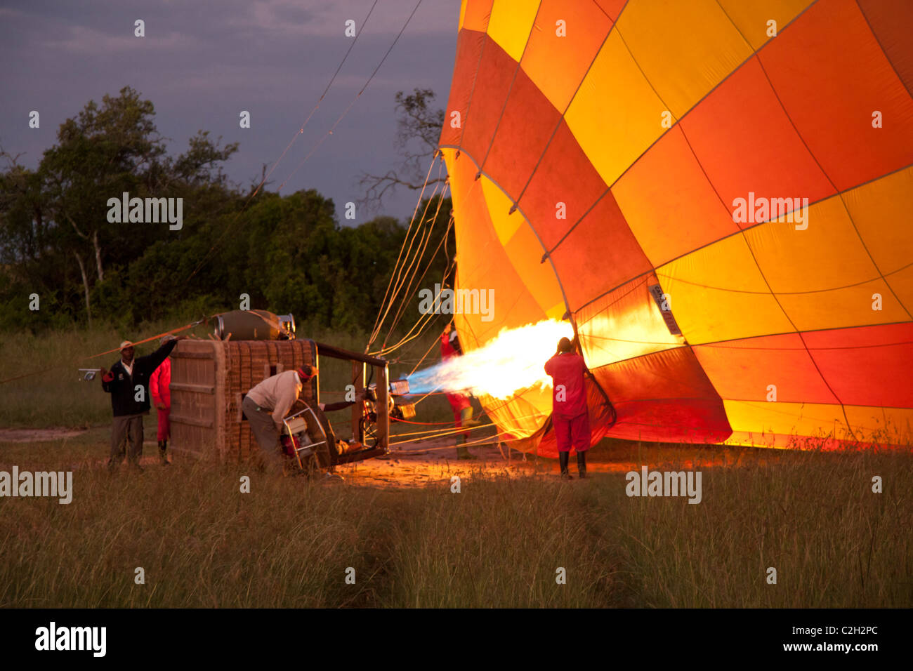 Hot air balloon being inflated on the Masai Mara at dawn. Stock Photo