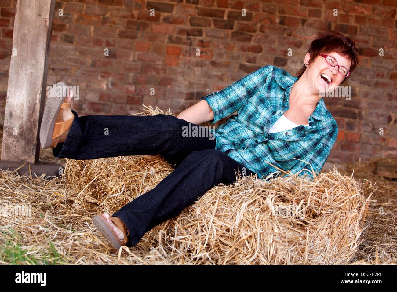 Woman enjoying a good laugh nearly falling off bale of straw.Scotland UK Stock Photo