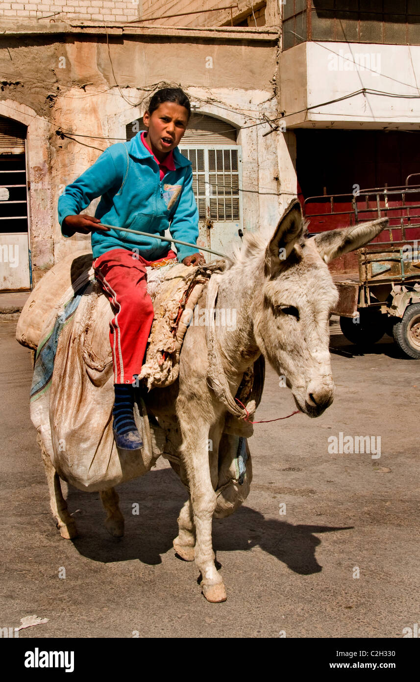 Palmyra new town city Syria Syrian Young girl donkey Stock Photo