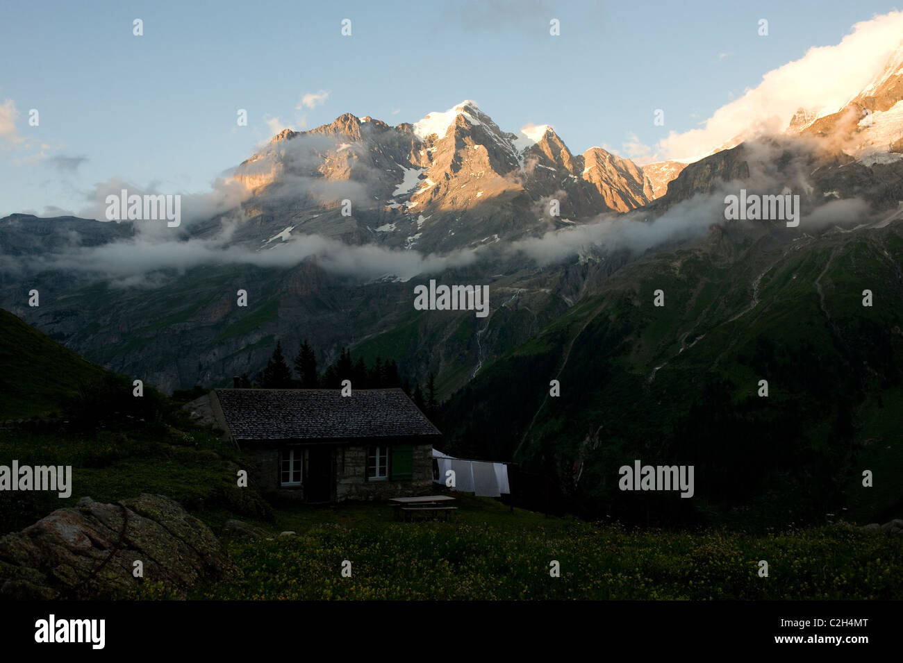 An alpine pasture in front of the Jungfrau mountain, Lauterbrunnental, Switzerland Stock Photo