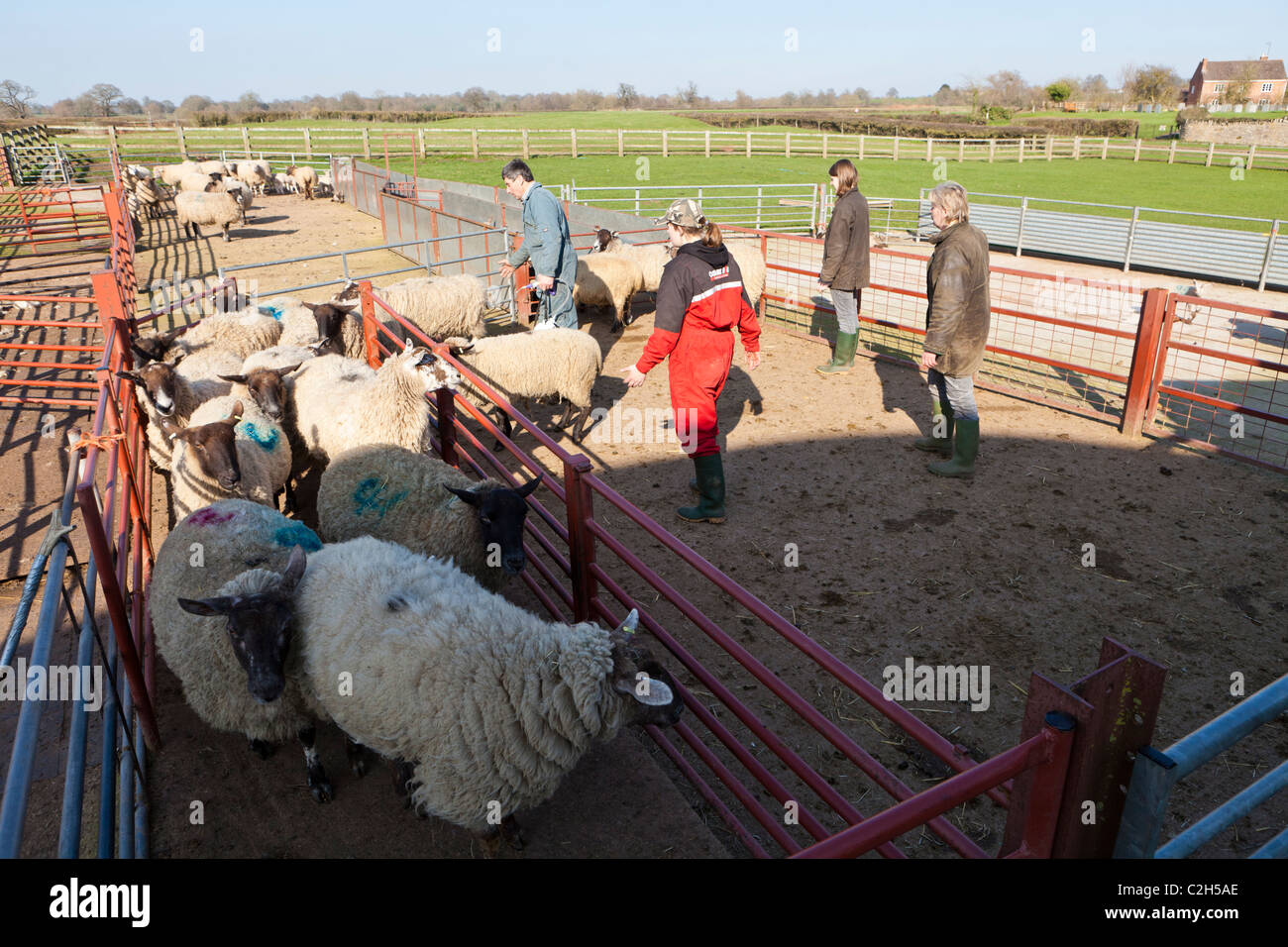 Upleadon hires stock photography and images Alamy