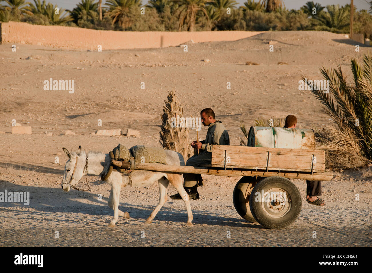 donkey cart car desert Palmyra Syria Syrian Stock Photo