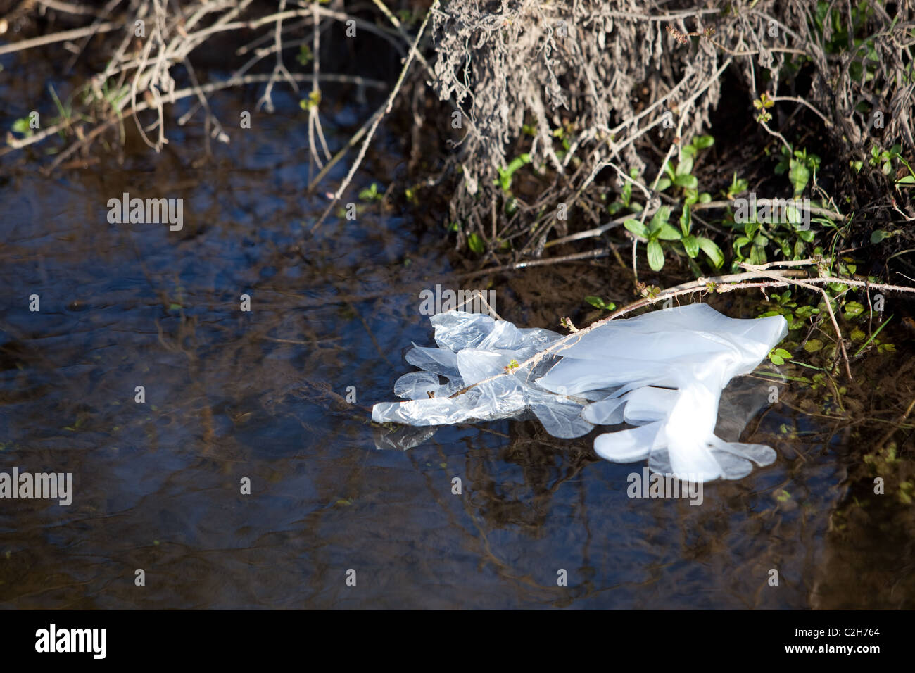 Discarded plastic (gloves) in stream. Salisbury England UK Danger to wildlife. Stock Photo