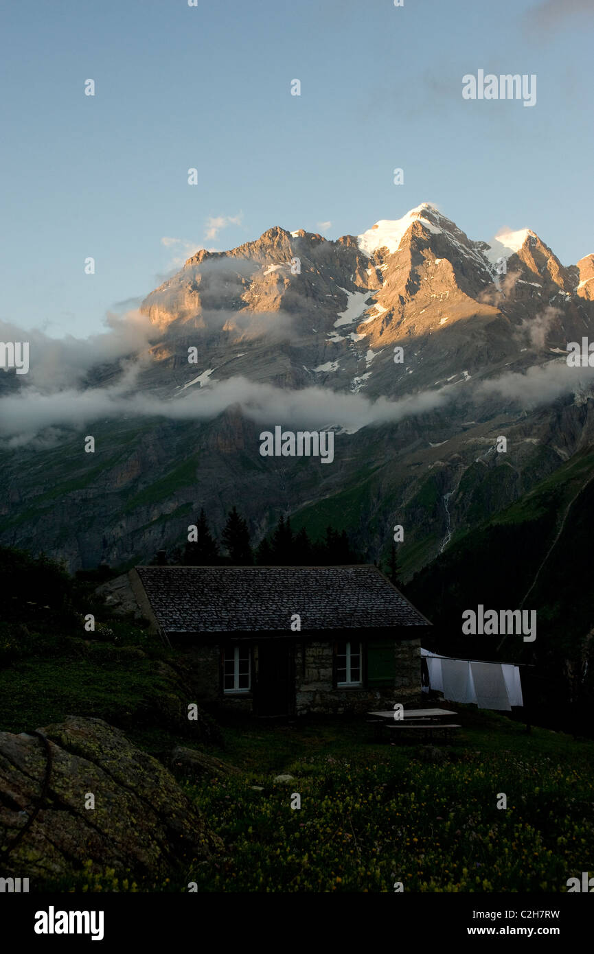 An alpine pasture in front of the Jungfrau mountain, Lauterbrunnental, Switzerland Stock Photo