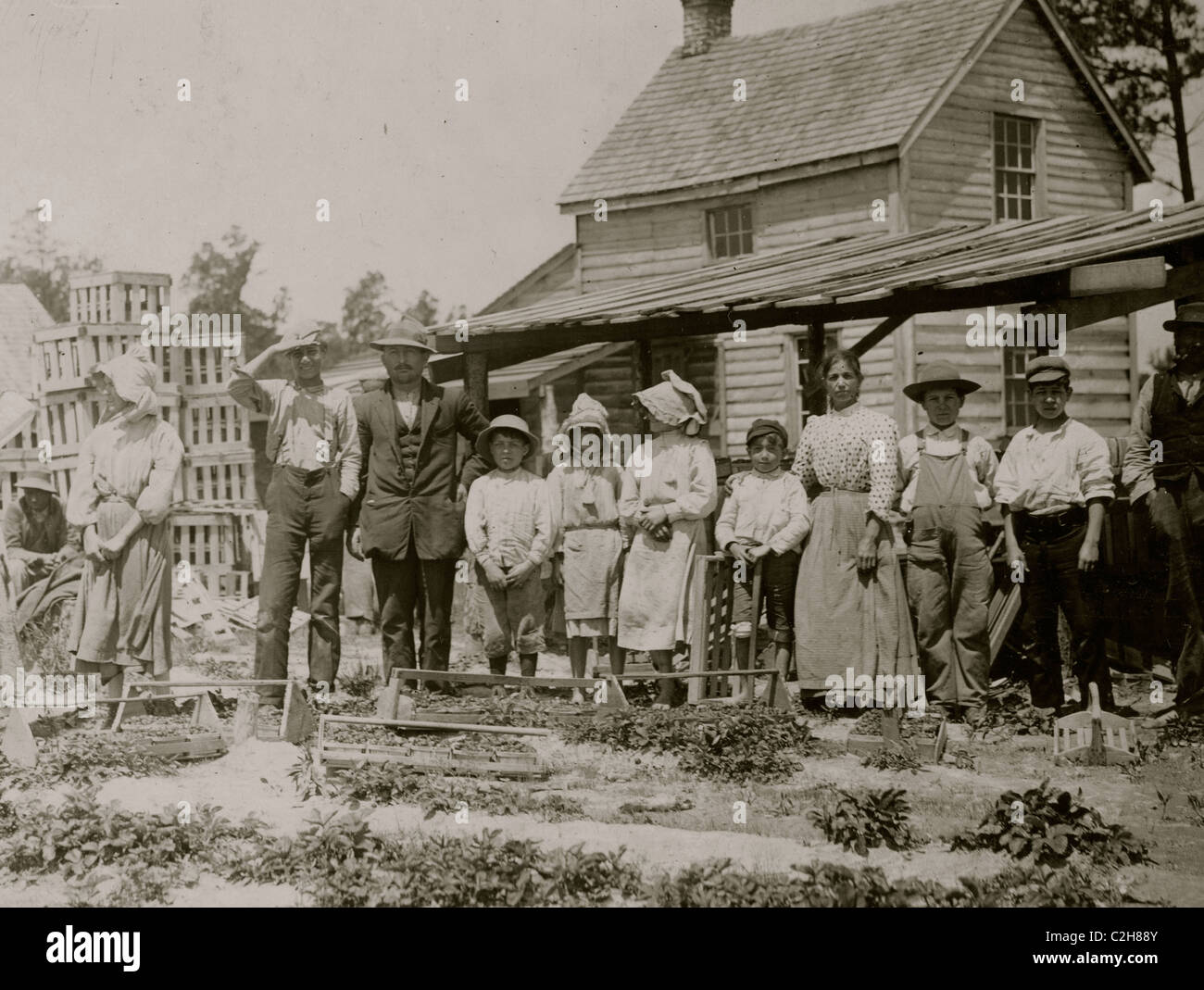 A group of berry pickers on Newton's Farm, Cannon, Delaware Stock Photo