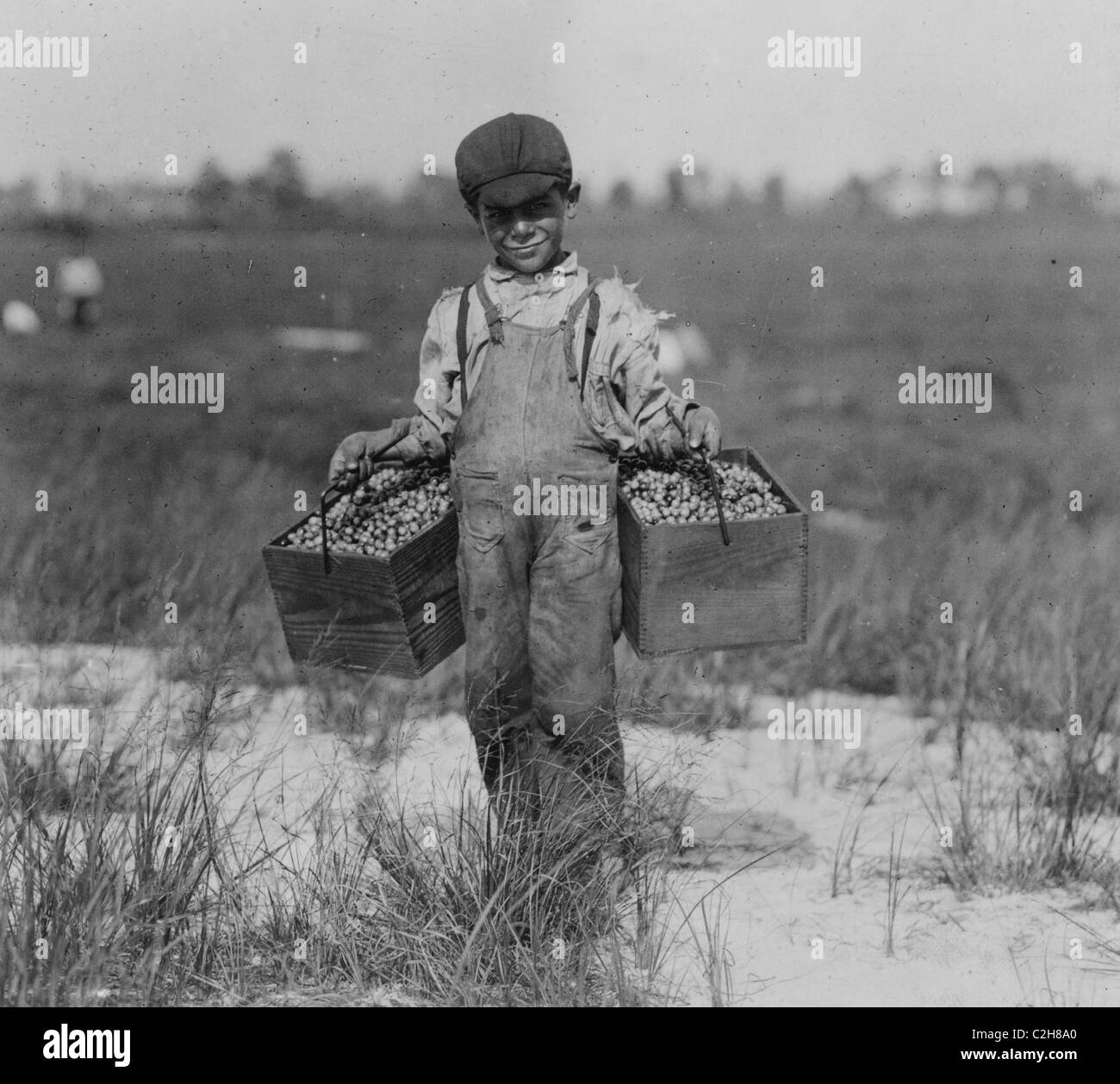 Peula Amava, 8 years old carries the cranberries and tends baby between times. Stock Photo