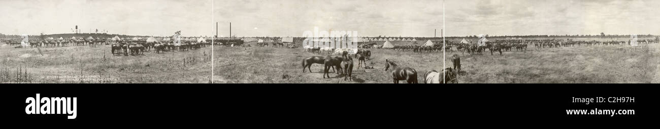 The officers quarters on the Hogsback and cavalry horses at Pine Camp, N.Y. Stock Photo