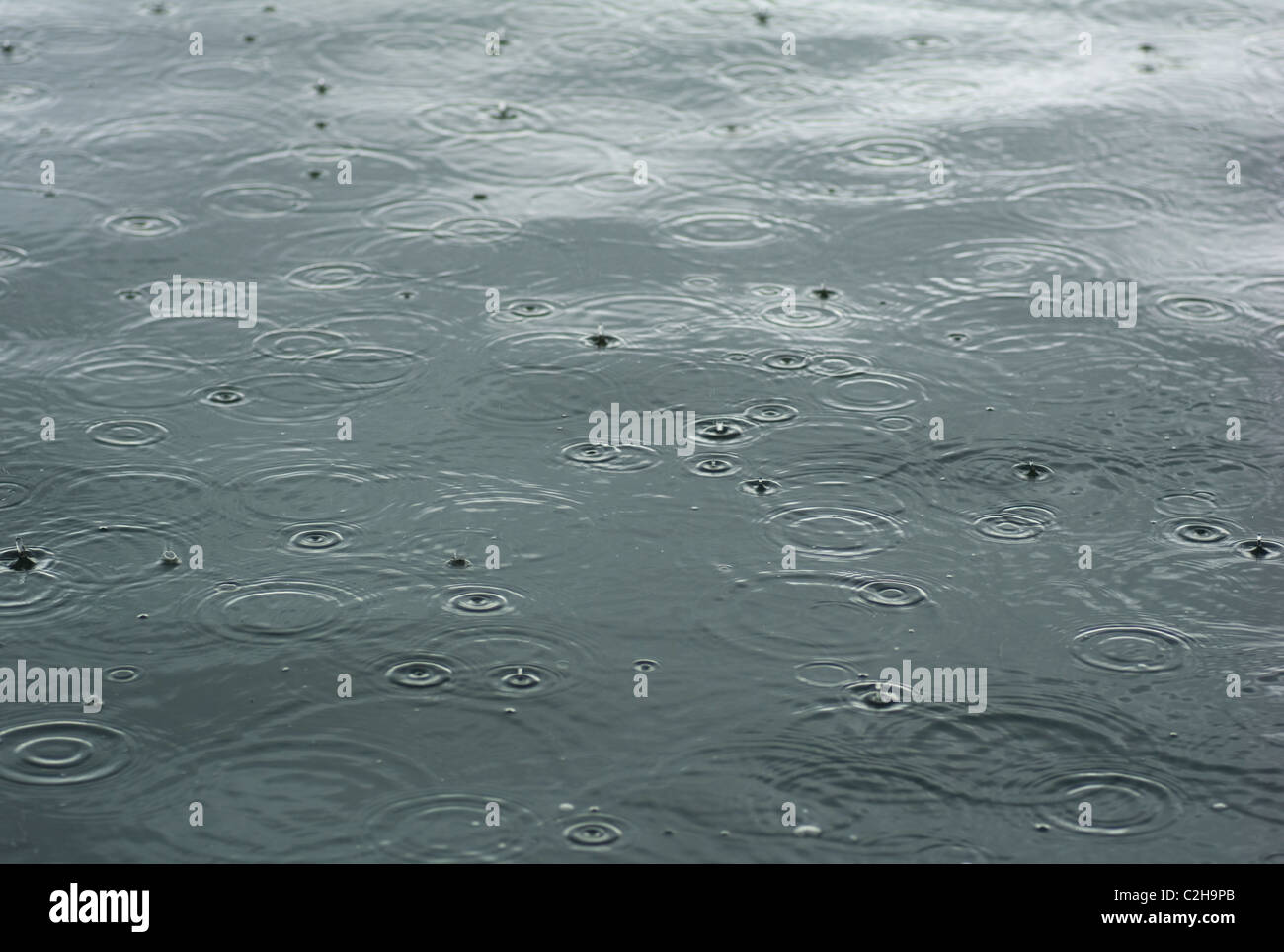 Lake Of The Woods, Ontario, Canada; Raindrops Splashing On A Lake Stock Photo