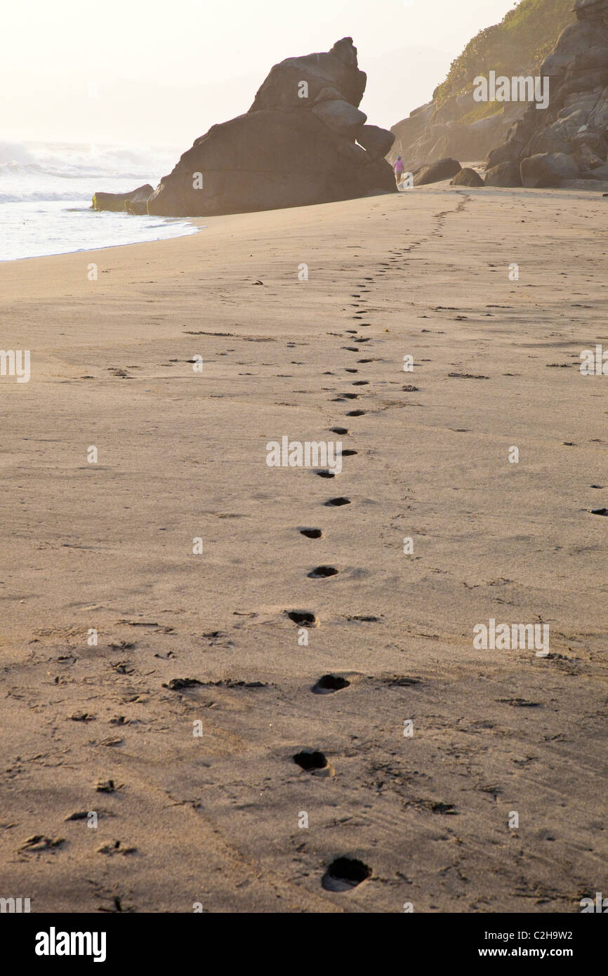 Beach in Tayrona National Park in Colombia Stock Photo