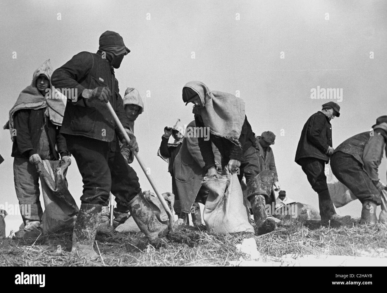 Building the Levee as protection during flood Stock Photo