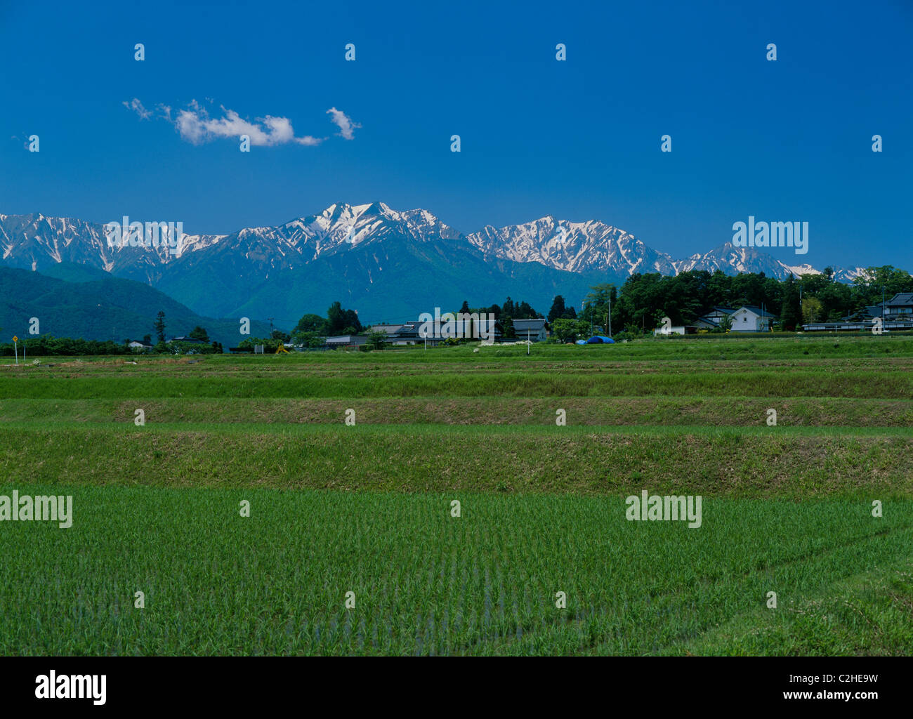 Rice Paddy and Hida Mountains, Omachi, Nagano, Japan Stock Photo