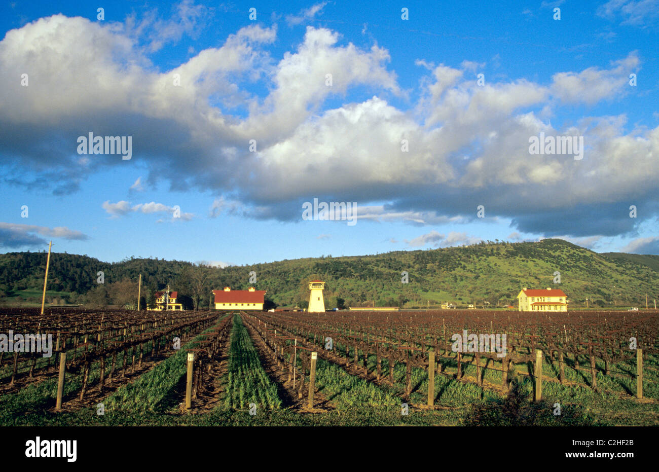 Clouds hang over Napa Valley winery and vineyard off the Silverado Trail in the Napa Valley near Rutherford circa 2009 Stock Photo