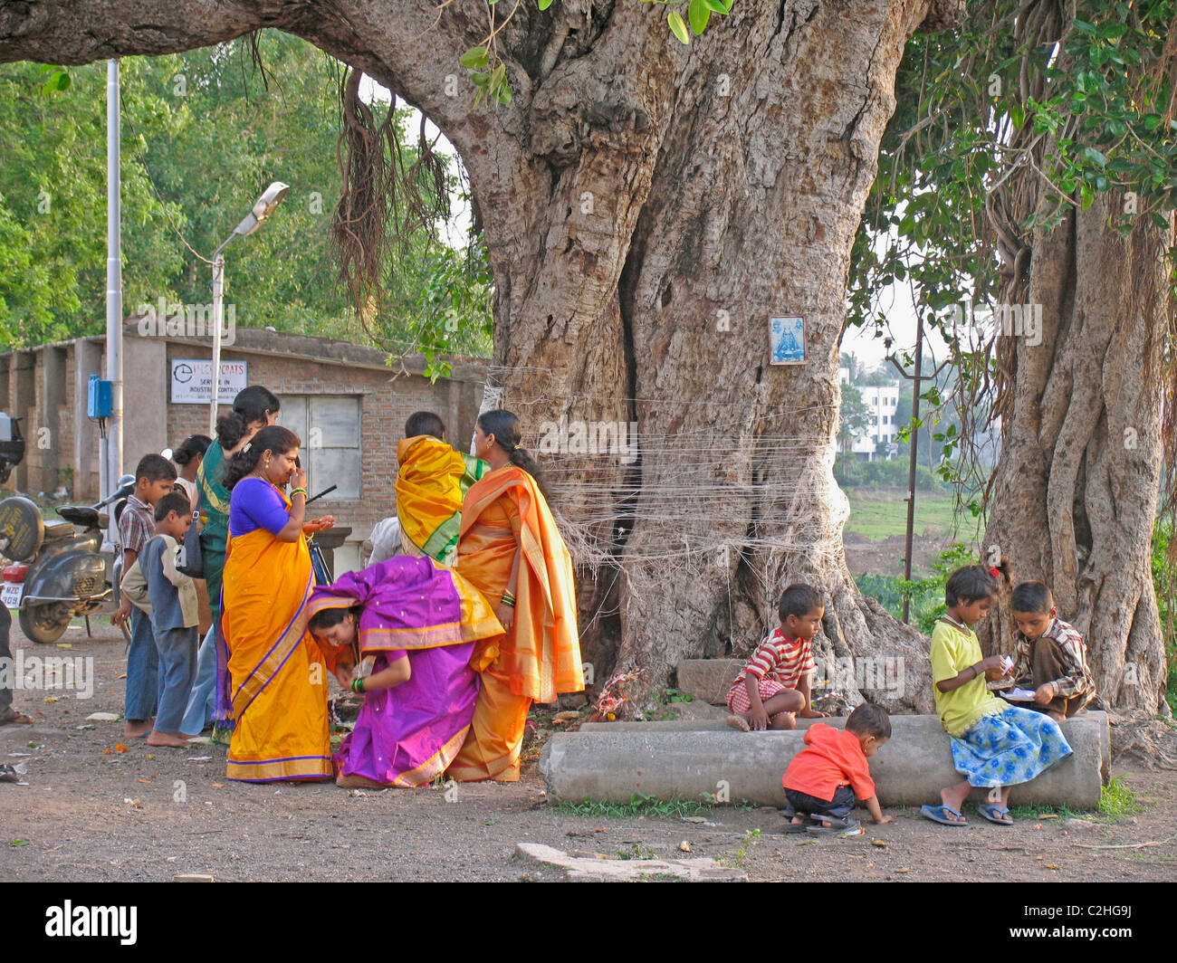 Indian Festival - Vat Savitri: festival falls on the full moon day in June Stock Photo