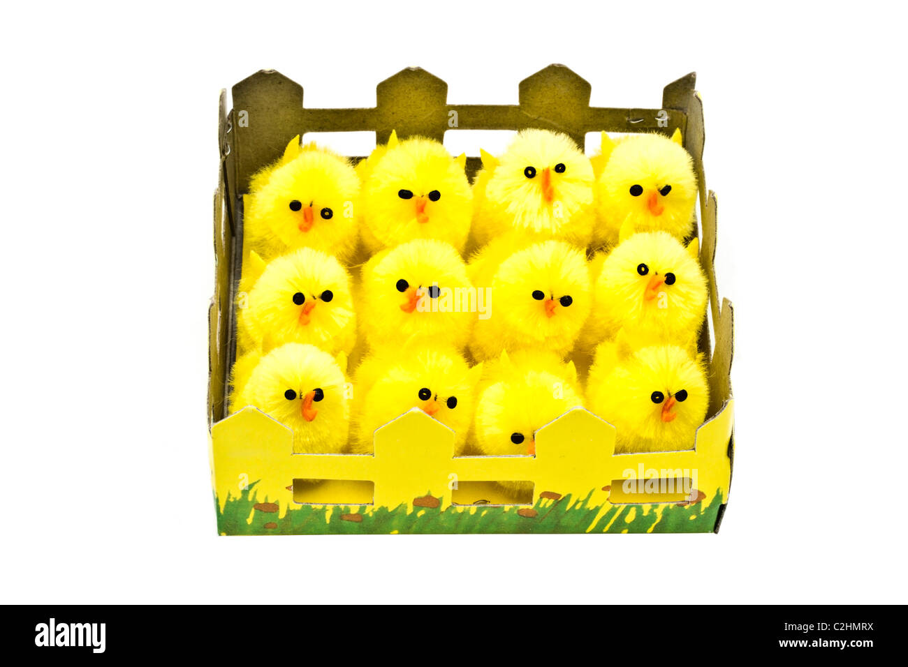 Yellow chickens in box closeup on white background Stock Photo