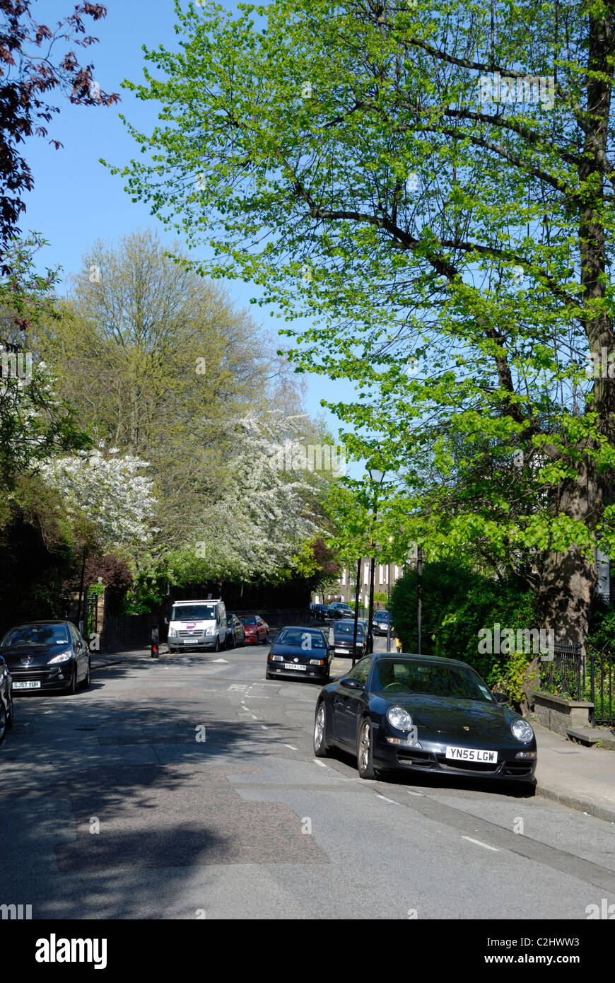 Canonbury Grove, Islington N1, London, England Stock Photo Alamy