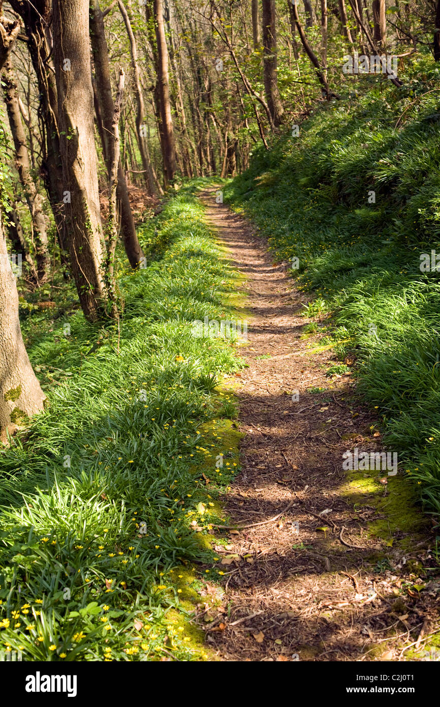 Footpath Dixcart valley woods island Sark Channel Islands Stock Photo