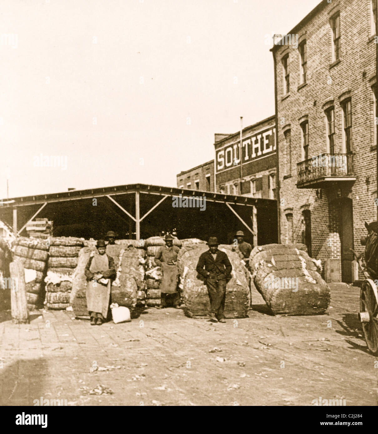 The land of cotton Stock Photo Alamy