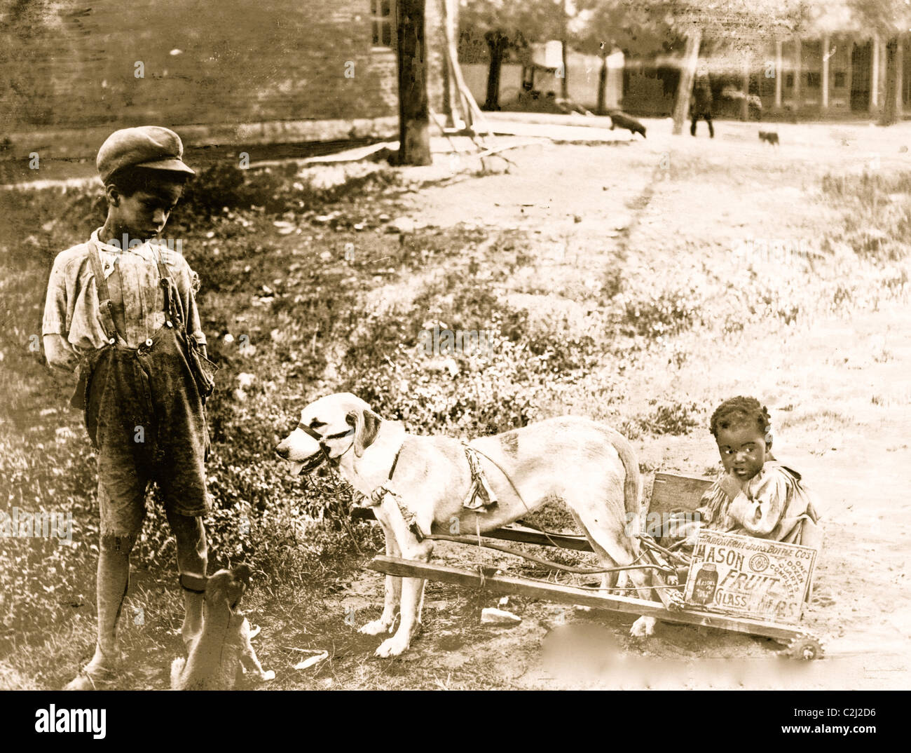 Putting on the Dog Stock Photo Alamy