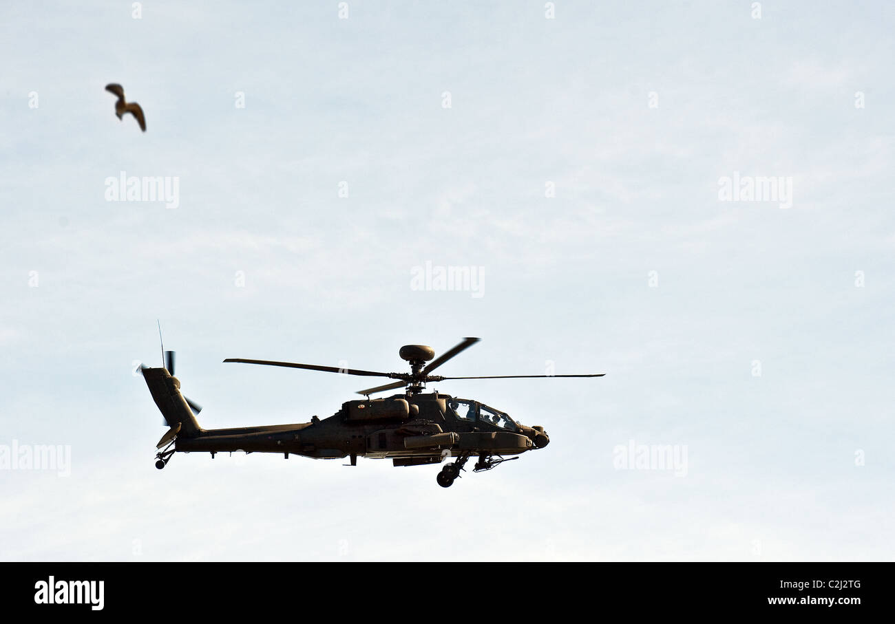 British apache attack helicopter hi-res stock photography and images ...