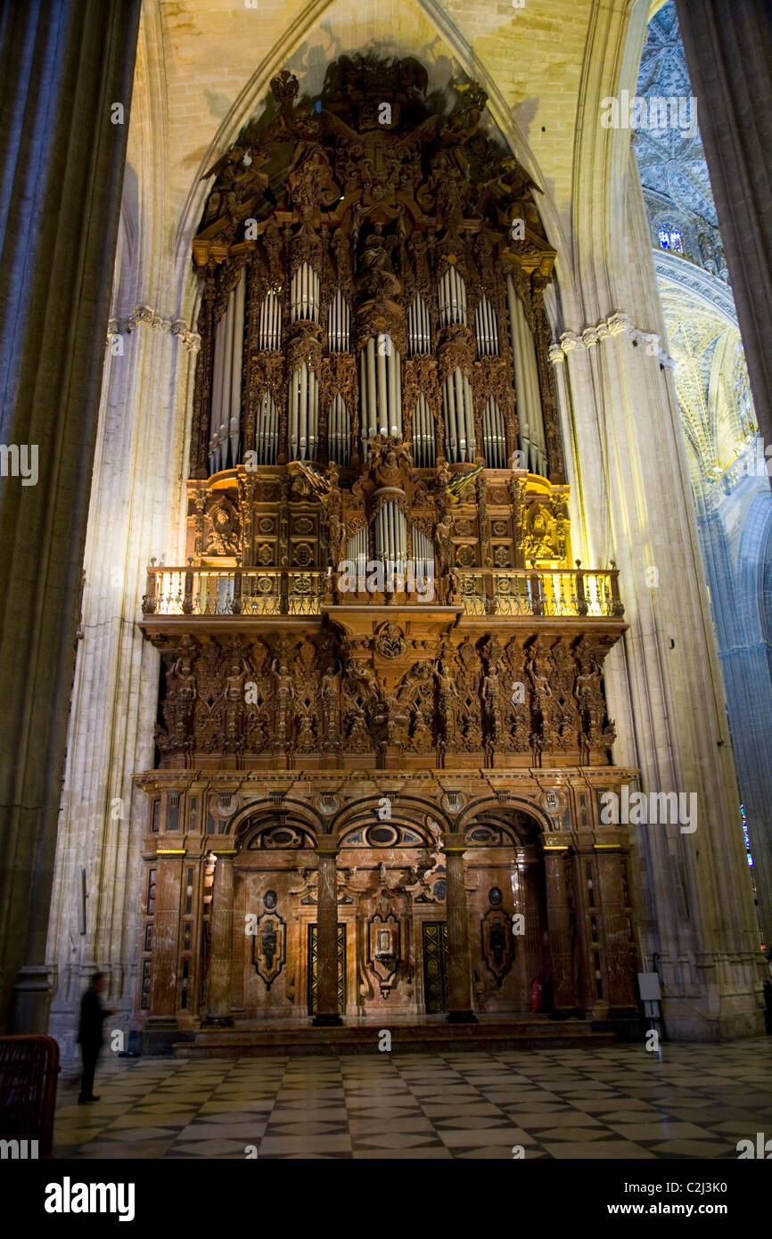 fellation reims st john s fellation reims st john s