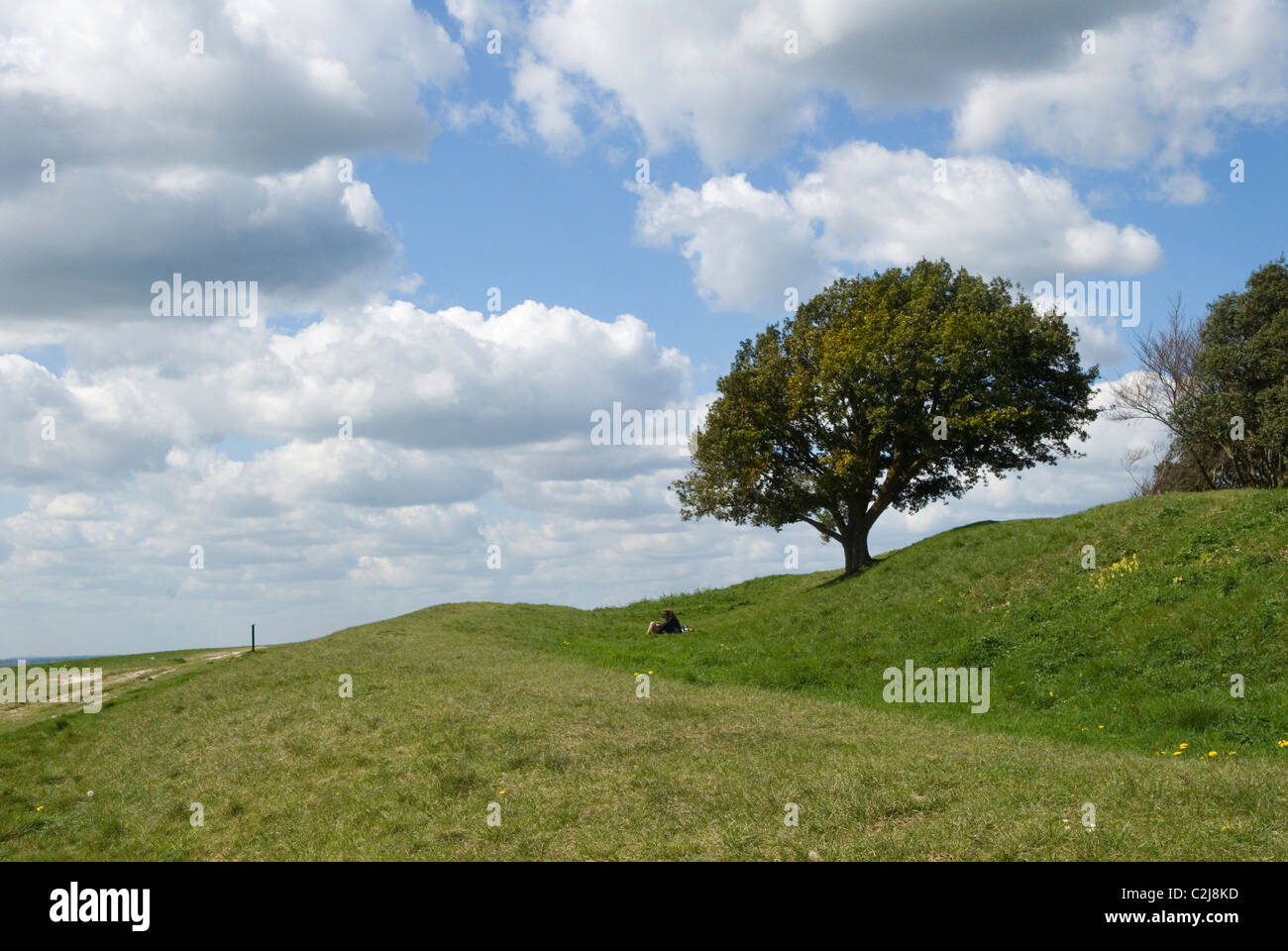 Prehistoric earth works. High Down Hill Near Worthing East Sussex UK. South Downs Stock Photo