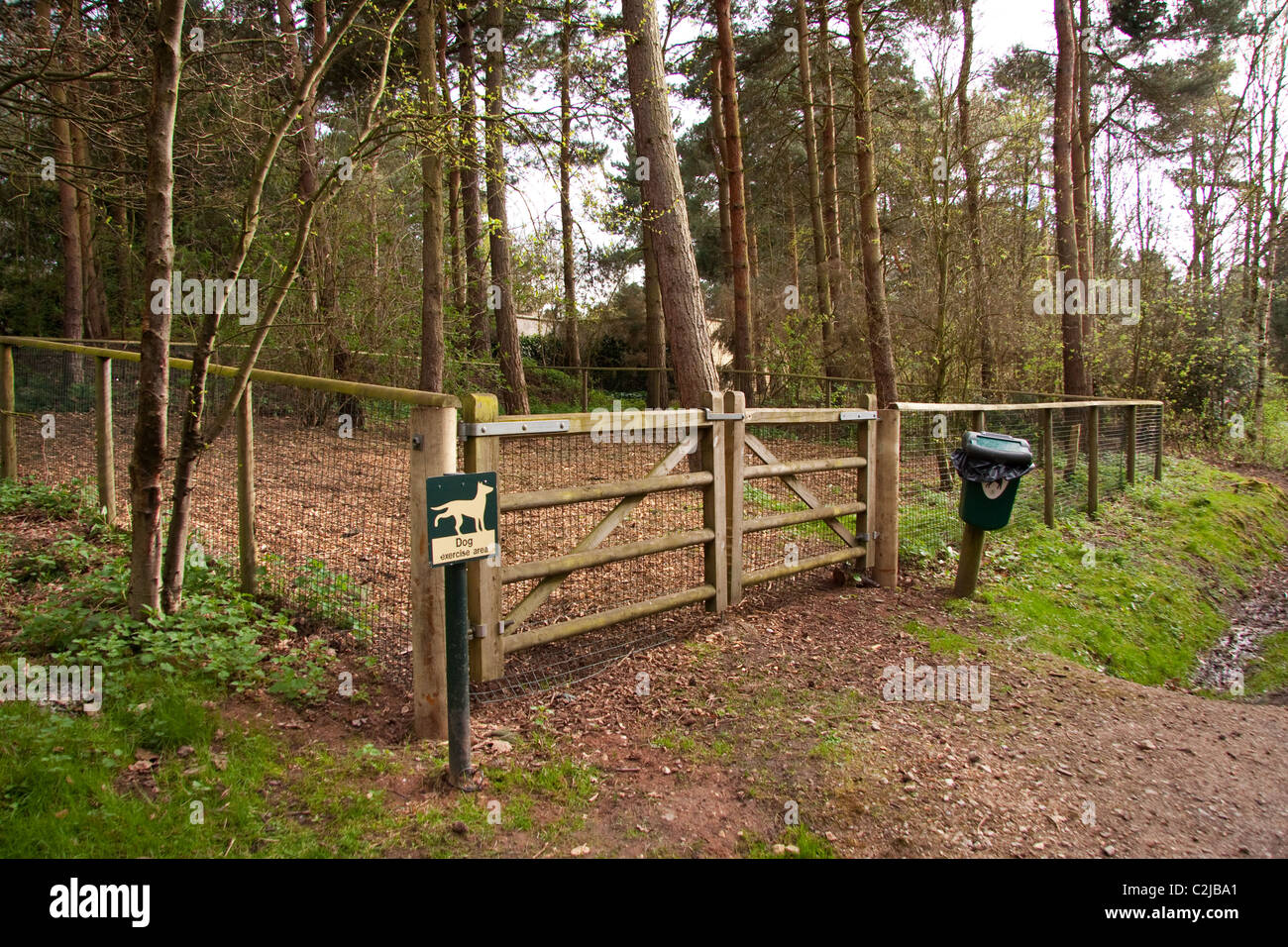 Are Dogs Allowed At Centre Parcs Whinfell