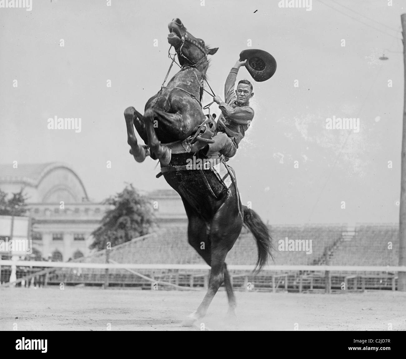 Cowboy Rides Rearing Horse & Waves his Hat Stock Photo