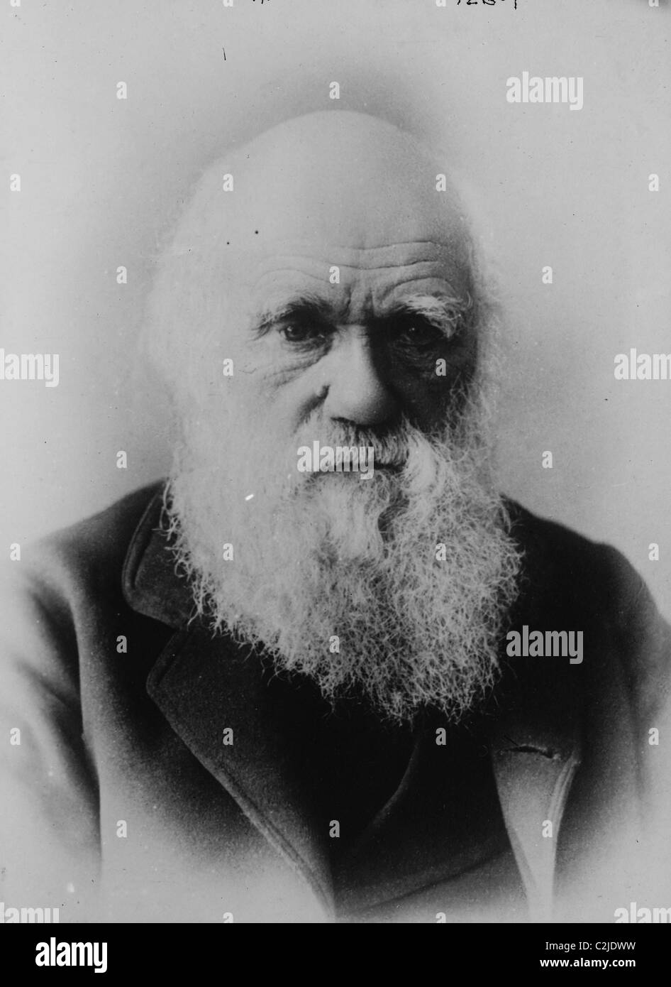 Portrait of Charles Darwin Stock Photo