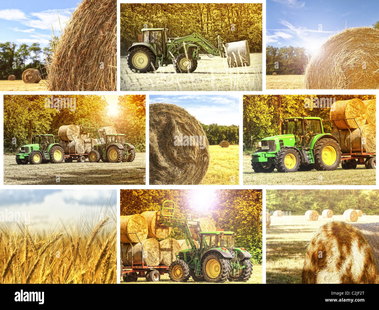 fine image of different agriculture work scene Stock Photo